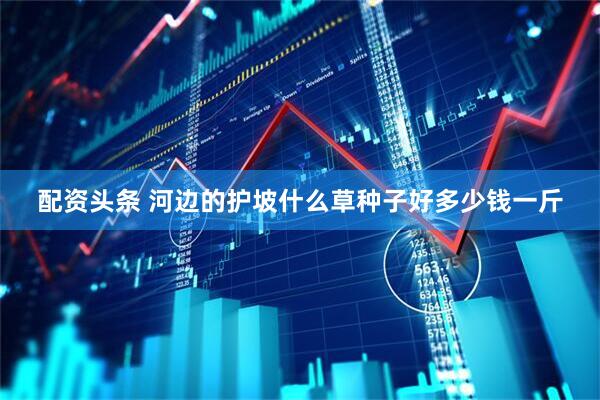 配资头条 河边的护坡什么草种子好多少钱一斤