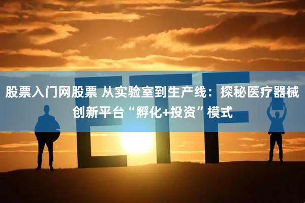 股票入门网股票 从实验室到生产线：探秘医疗器械创新平台“孵化+投资”模式