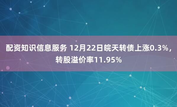 配资知识信息服务 12月22日皖天转债上涨0.3%，转股溢价率11.95%